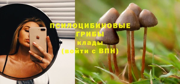 a pvp Аркадак