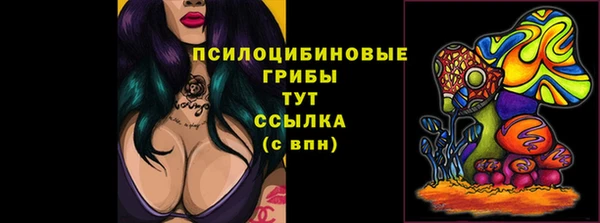 хмурый Михайловка