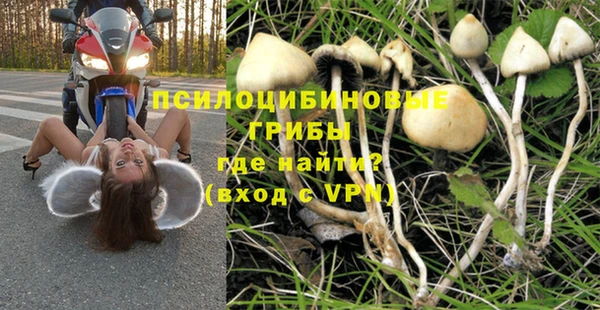 гашик Армянск